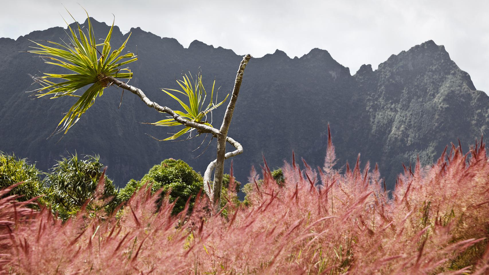 Al fin del mundo en un carguero