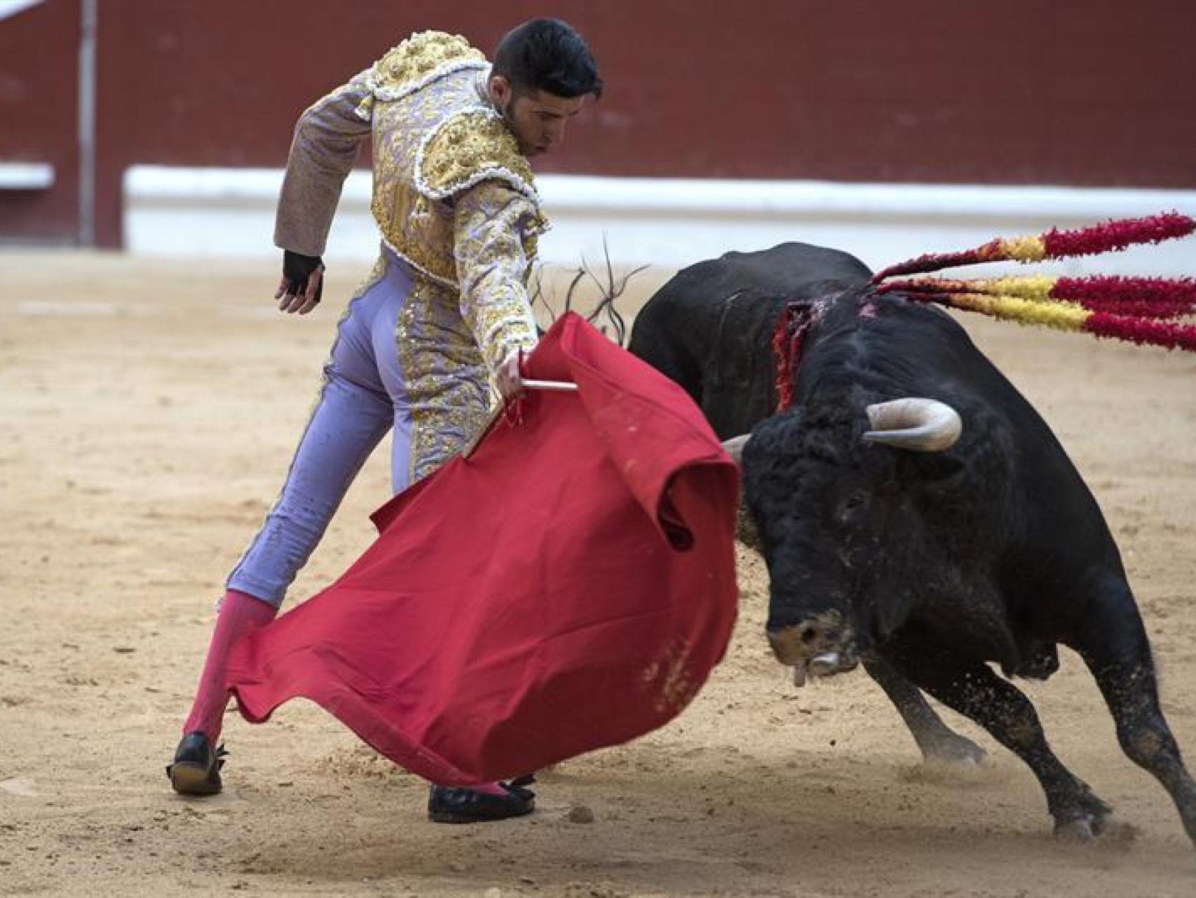 Talavante. en plena corrida.