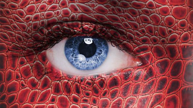 Los reptilianos no son más que un mito.