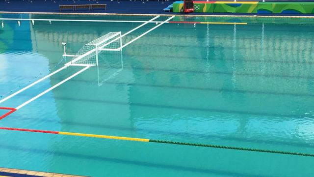 La piscina de sincronizada congelada, verde y con ranas