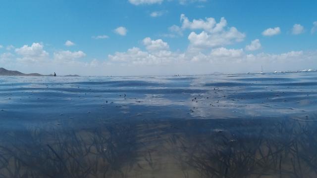 Vista actual del Mar Menor.