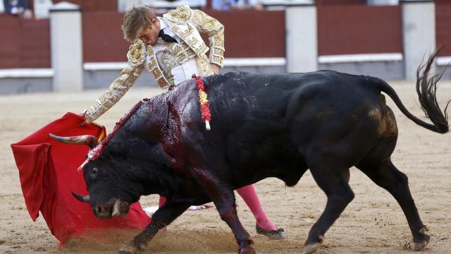 Javier Jiménez toreando a su primero en Las Ventas.