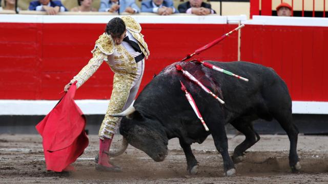 El torero Curro Díaz