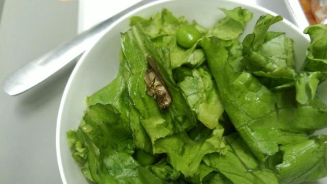 Por qué no pasa nada si un consumidor encuentra un saltamontes en la ensalada
