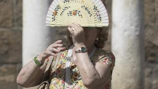 Derretidos por el calorazo en Sevilla.