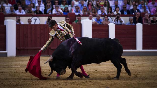 Poderoso derechazo de José Tomás.