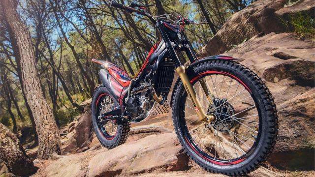 Montesa Cota 300 RR 2017, casi de competición