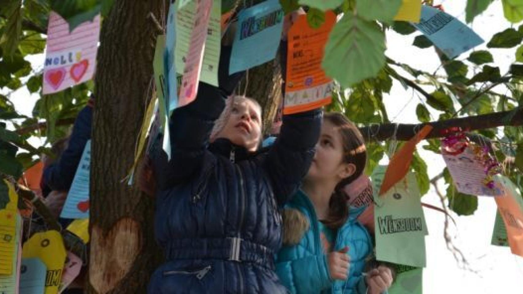 TVE cumplirá sueños de niños en 'El árbol de los deseos'