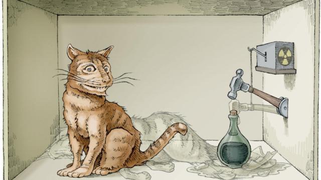 schrodingers-cat-3