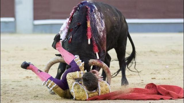 Momento en el que Rubén Pinar sufre dos cornadas graves.