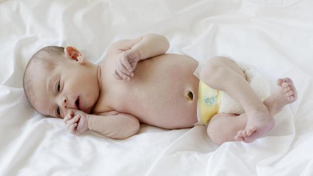 El niño  ha nacido por una técnica llamada transferencia pronuclear.