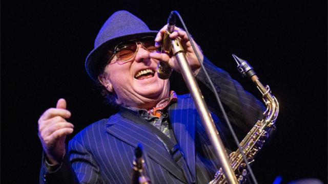 Image: Van Morrison, sin plan de jubilación