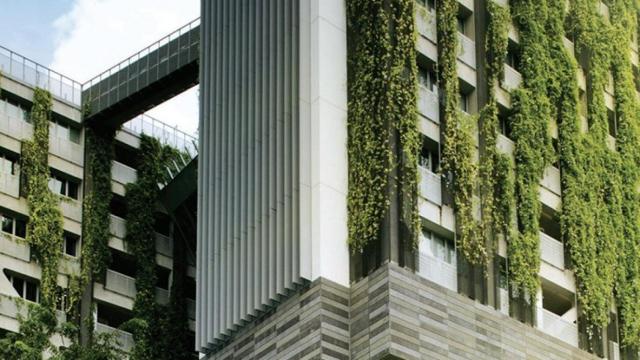 cubrir_edificios_plantas