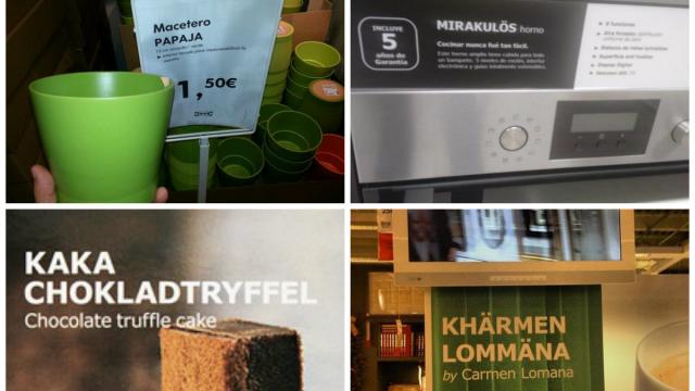 De la Lomana a macetero papaja, hay todo un universo de curiosidades.