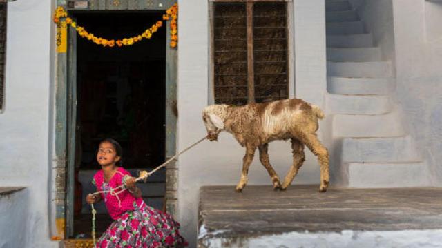 Image: García Rodero, sueños en color