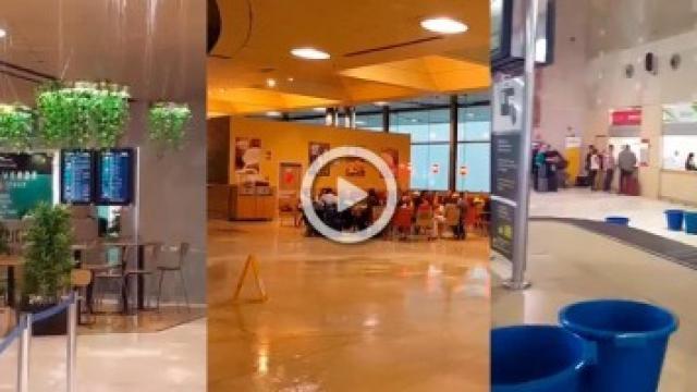 Este es el lamentable estado del Aeropuerto de Tenerife Norte, Los Rodeos