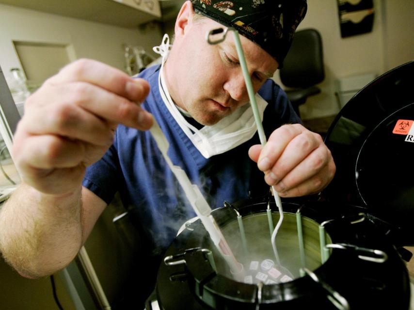 Un embriólogo manipulando embriones.