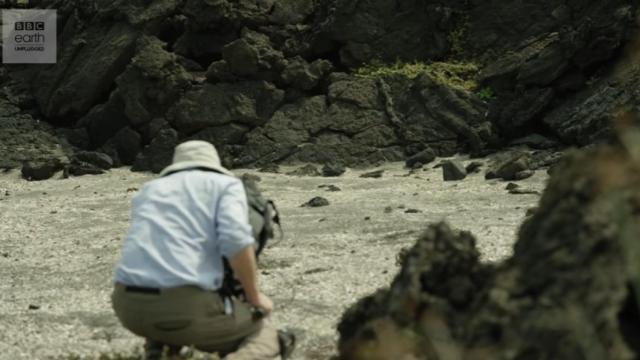 Uno de los cámaras de 'Planet Earth' que se encontraba grabando la escena.