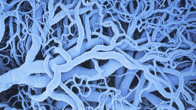 Image: Nanotecnociencia