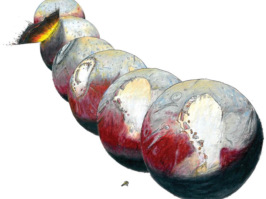 Ilustración que describe el hallazgo.