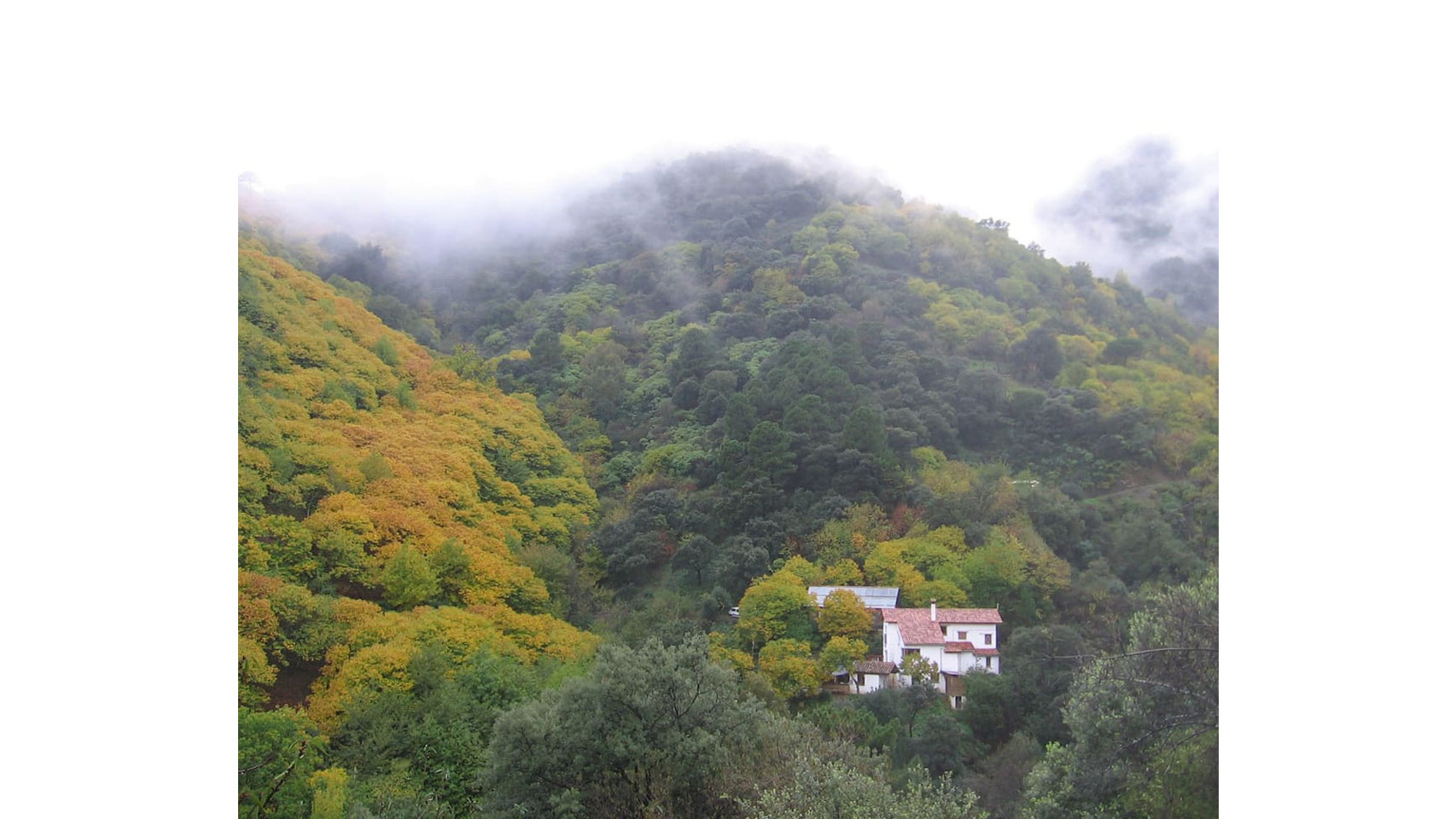 Ecoaldea Los Guindales