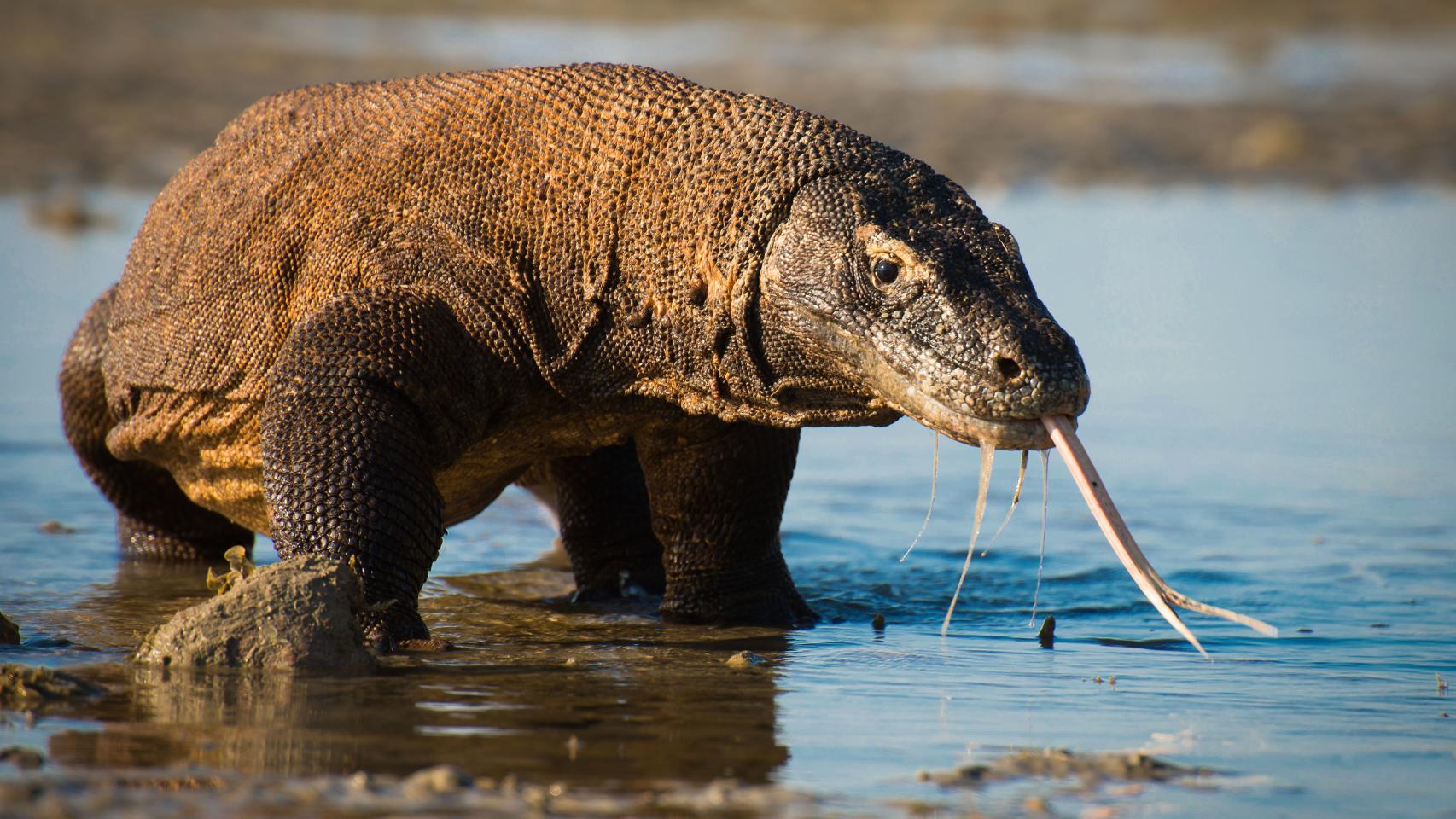 Veinte imágenes espectaculares sacadas de Planet Earth