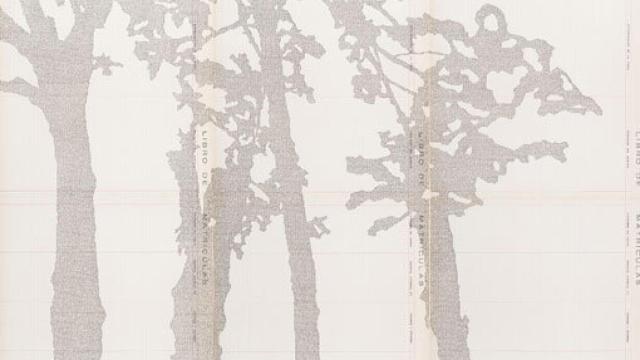 Image: Los fonemas de Johanna Calle