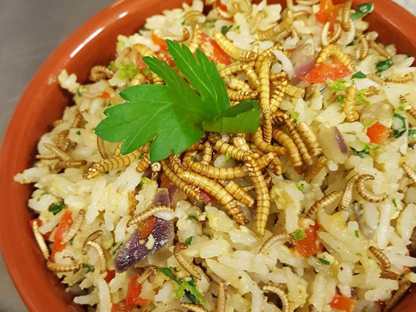 Arroz con frijoles y bichos variados.