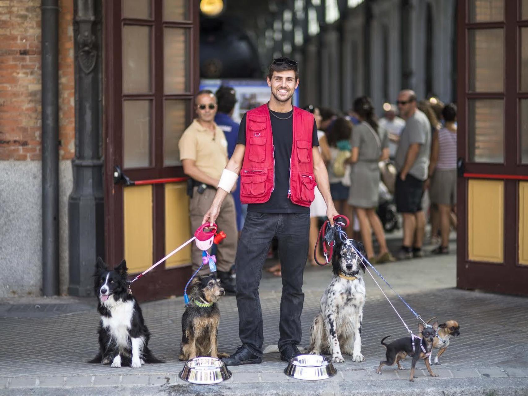 Un cuidador de perros, con cinco ejemplares.