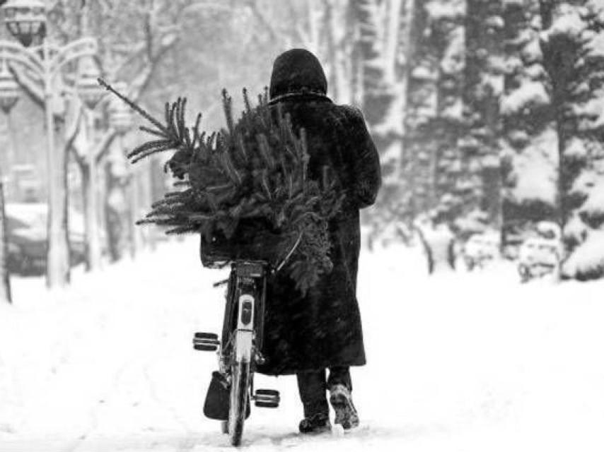 La batalla de Nochebuena