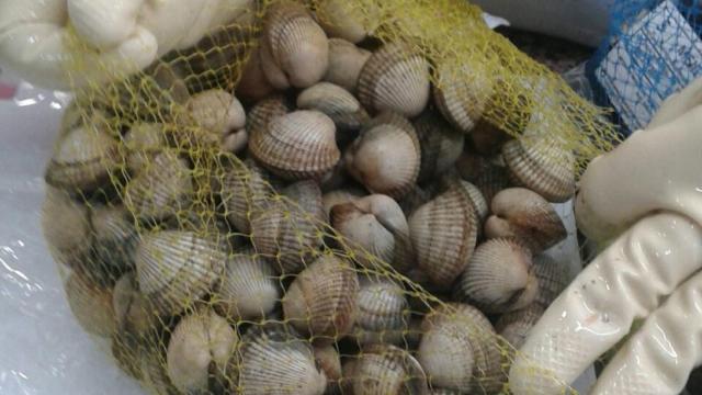 El berberecho de segunda en la lonja de Noia vale a siete euros el kilo. El de primera, a veinte.