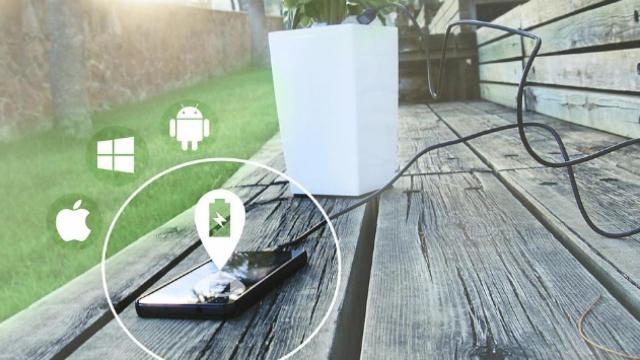 Una planta para cargar la batería del móvil mediente la fotosíntesis