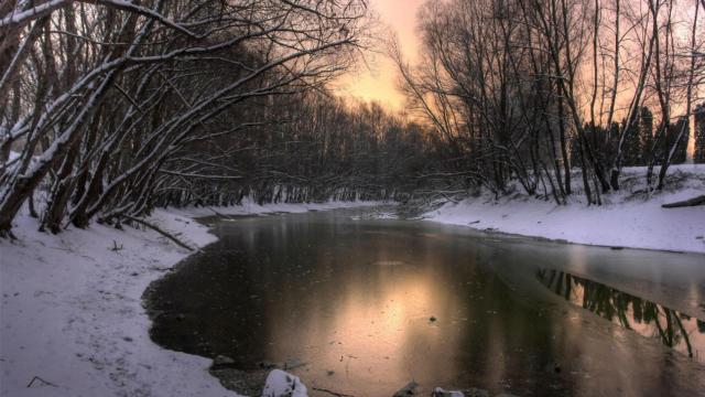 trastorno_afectivo_estacional