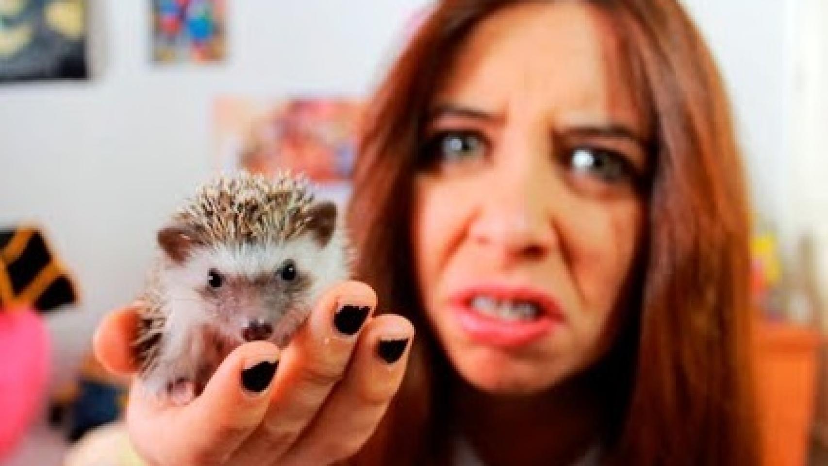 Vaya, parece que el simpático erizo no le ha entusiasmado... ¡A venderlo!