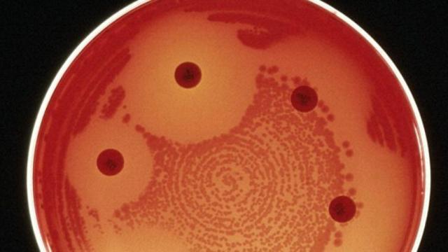 resistencias_antibioticos