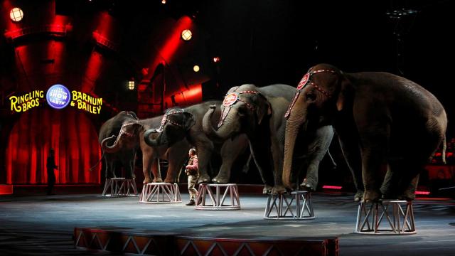 Fotografia del circo Ringling Bros de Estados Unidos.