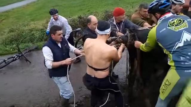 Las imágenes de la improvisada asistencia cuentan con miles de compartidos y 'me gusta'.