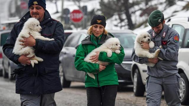 El equipo de rescate con los tres cachorros que han sobrevivido al alud