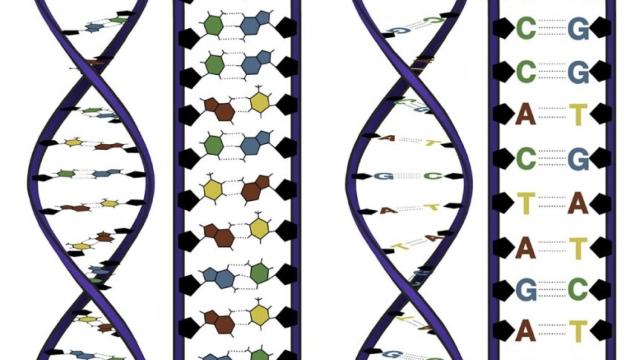 codigo-genético-960x623