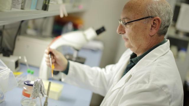 El profesor Mojica, en su laboratorio