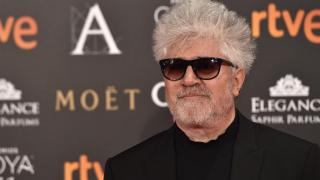 Todo sobre su pelo: estos son los secretos de la melena de Pedro Almodóvar