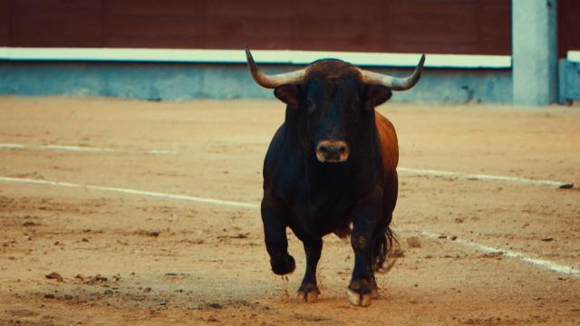Toro: el documental que usted no verá