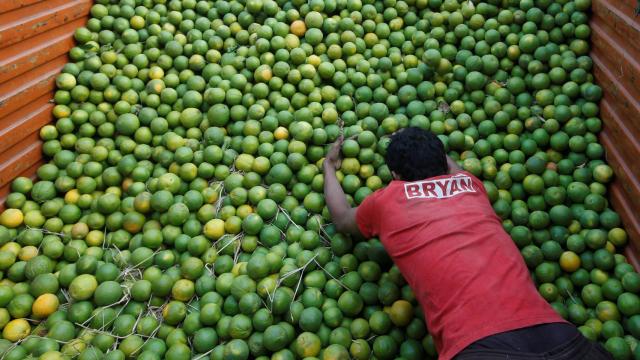 Un trabajador descarga limas en Mumbai.