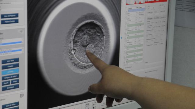 Laboratorio de fecundación in vitro