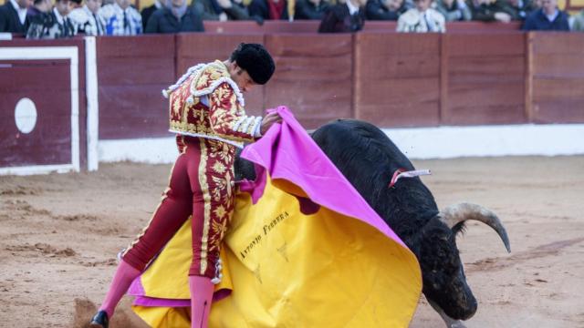 Verónica de Ferrera al primer garcigrande en su reaparición en Olivenza