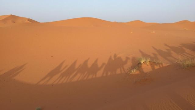 El desierto del Sahara