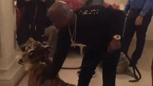 Floyd Myweather con un tigre de mascota