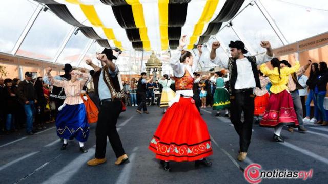 Muscia amendoeiras 2017 mogadouro (3)