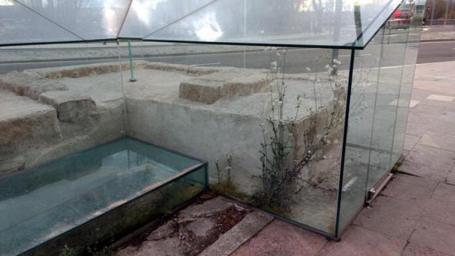 urna-restos-san-lorenzo