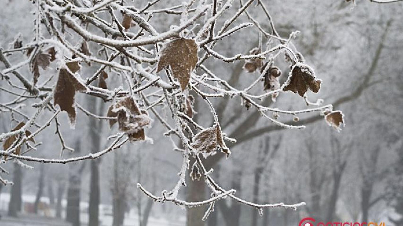 valladolid-frio-invierno-navidad-8